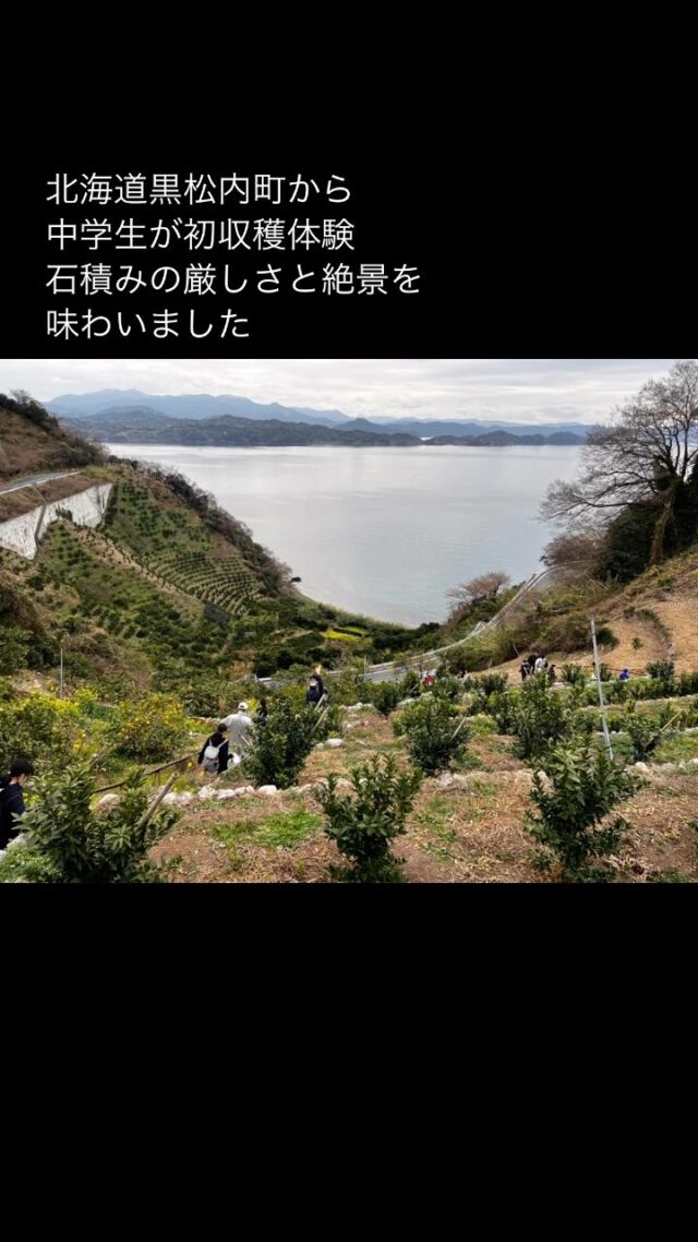 Kari enjoy！
#愛媛県
#西予市
#明浜町
#田舎体験
#狩江
#柑橘収穫体験
#修学旅行
#真珠加工体験
#郷土料理体験
#段畑カード
#おかえり