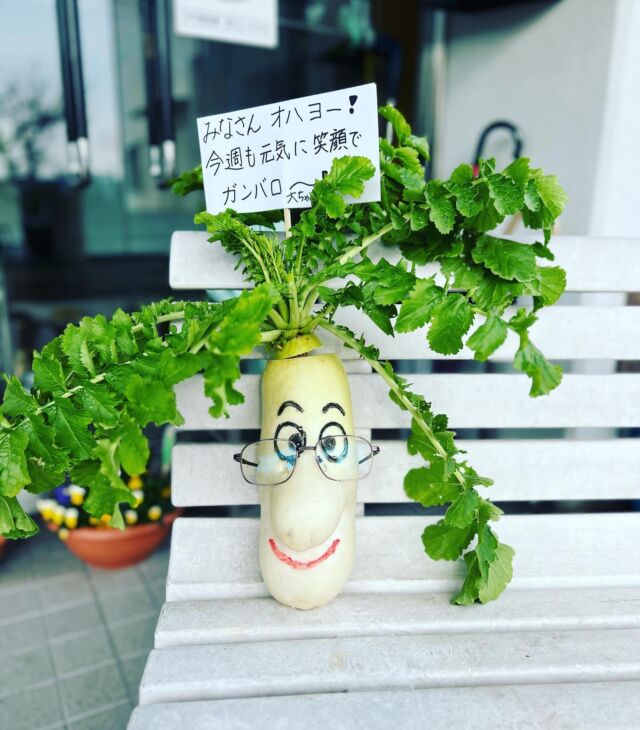 昨日の朝のこと、
公民館に「大根のだいちゃん」っていう方がお出迎えしてくれました。
いったいどなかが置いてくれたんでしょう。
とってもかわいい看板ダイコンがお出迎えしてます。ぜひお立ち寄りください♪
#ダイコン 
#大根
#おはよう
#Karienjoy！
#愛媛県
#西予市
#明浜町
#田舎体験
#狩江
#柑橘収穫体験
#修学旅行
#真珠加工体験
#郷土料理体験
#段畑カード