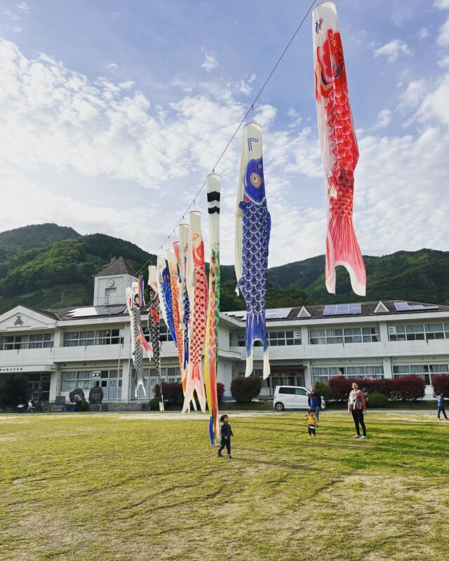 ゴールデンウィークいかがお過ごしですか？？
狩江では毎年青年会の皆さんがかりえ笑学校にこいのぼりを流してもらってます。

子どもたち、ぞろぞろやってきましたー。

期間は今週末まで。
みんなー。
「かりえにおかえり」
#karienjoy
#西予市
#狩江地区
#かりとりもさくの会
#こどもの日
#廃校活用
#限界集落
#青年会
#こいのぼり
#地域づくり